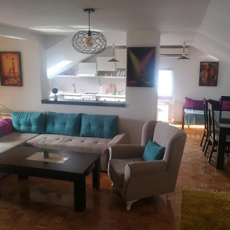 Apartment Nedic Ντόμποϊ Εξωτερικό φωτογραφία